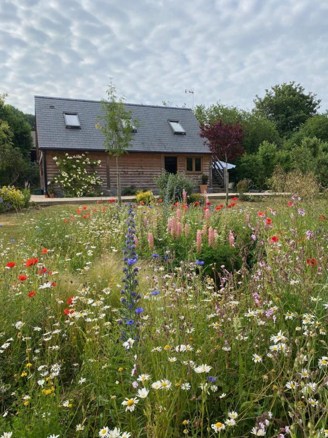 The Studio @ Bridge Cottage Totnes Exterior foto